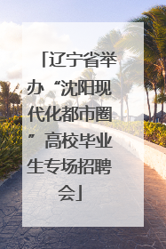 辽宁省举办“沈阳现代化都市圈”高校毕业生专场招聘会