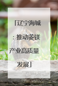 辽宁海城：推动菱镁产业高质量发展