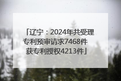 辽宁：2024年共受理专利预审请求7468件 获专利授权4213件