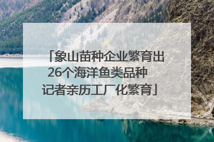 象山苗种企业繁育出26个海洋鱼类品种 记者亲历工厂化繁育