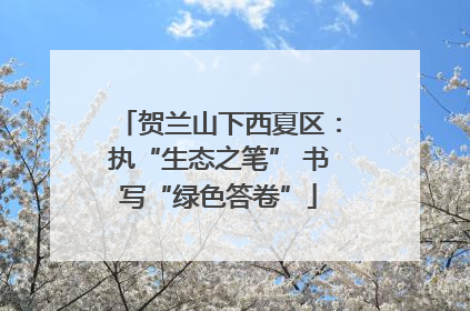 贺兰山下西夏区：执“生态之笔” 书写“绿色答卷”