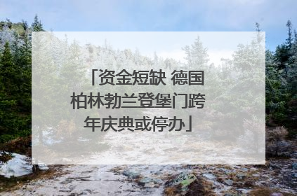 资金短缺 德国柏林勃兰登堡门跨年庆典或停办