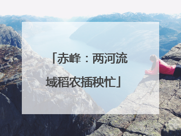 赤峰：两河流域稻农插秧忙