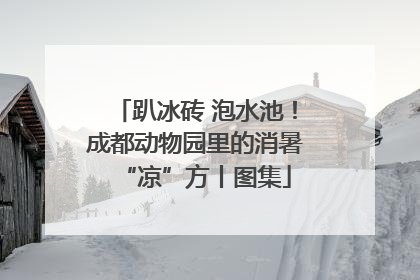 趴冰砖 泡水池！成都动物园里的消暑“凉”方丨图集
