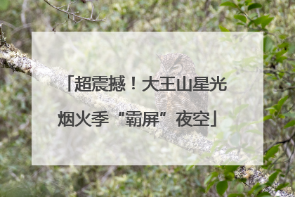 超震撼！大王山星光烟火季“霸屏”夜空