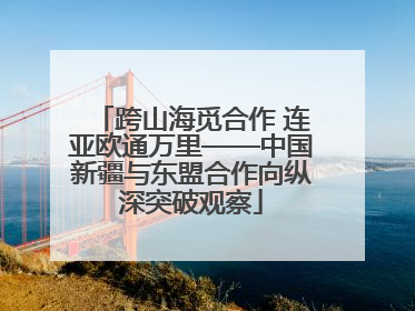 跨山海觅合作 连亚欧通万里——中国新疆与东盟合作向纵深突破观察
