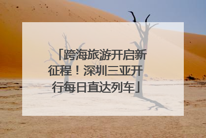 跨海旅游开启新征程！深圳三亚开行每日直达列车