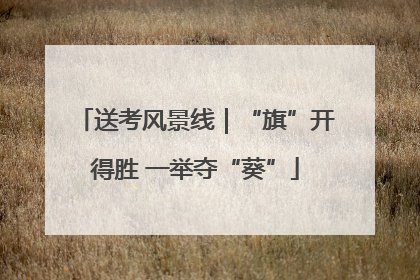 送考风景线｜“旗”开得胜 一举夺“葵”