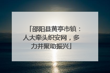 邵阳县黄亭市镇：人大牵头织安网，多力并聚助振兴