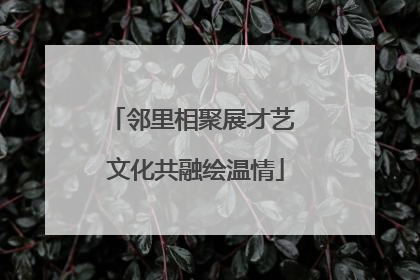 邻里相聚展才艺 文化共融绘温情