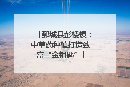 鄄城县彭楼镇：中草药种植打造致富“金钥匙”