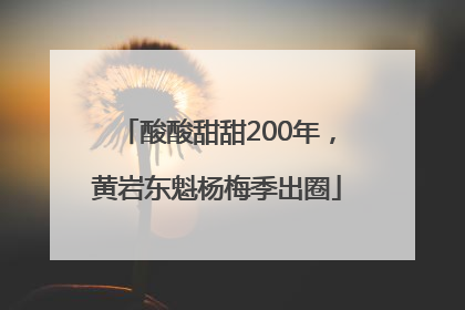 酸酸甜甜200年，黄岩东魁杨梅季出圈