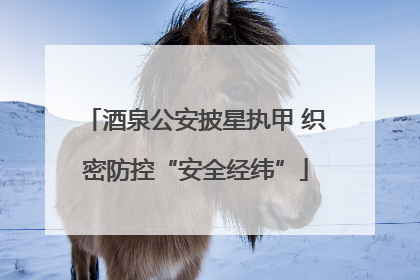 酒泉公安披星执甲 织密防控“安全经纬”