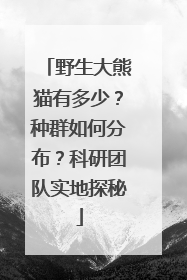 野生大熊猫有多少？种群如何分布？科研团队实地探秘