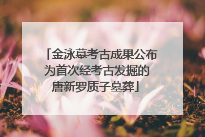 金泳墓考古成果公布 为首次经考古发掘的唐新罗质子墓葬
