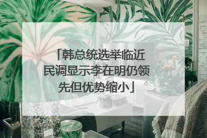 韩总统选举临近 民调显示李在明仍领先但优势缩小