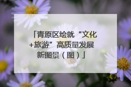 青原区绘就“文化+旅游”高质量发展新图景（图）