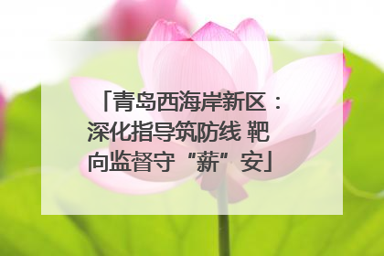 青岛西海岸新区：深化指导筑防线 靶向监督守“薪”安