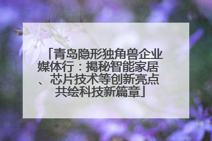 青岛隐形独角兽企业媒体行：揭秘智能家居、芯片技术等创新亮点 共绘科技新篇章