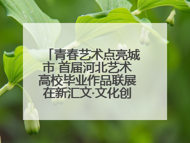 青春艺术点亮城市 首届河北艺术高校毕业作品联展在新汇文·文化创意体验中心开幕