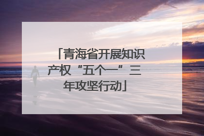 青海省开展知识产权“五个一”三年攻坚行动