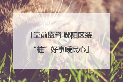 靠前监督 郧阳区装“桩”好事暖民心