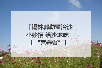 锡林郭勒盟治沙小妙招 给沙地吃上“营养餐”