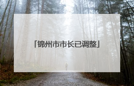 锦州市市长已调整
