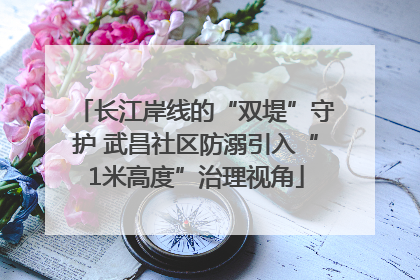 长江岸线的“双堤”守护 武昌社区防溺引入“1米高度”治理视角