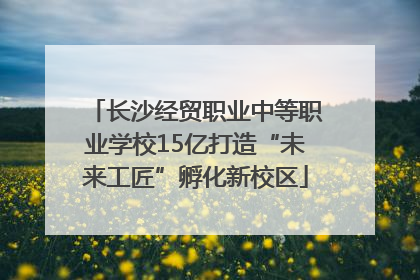 长沙经贸职业中等职业学校15亿打造“未来工匠”孵化新校区