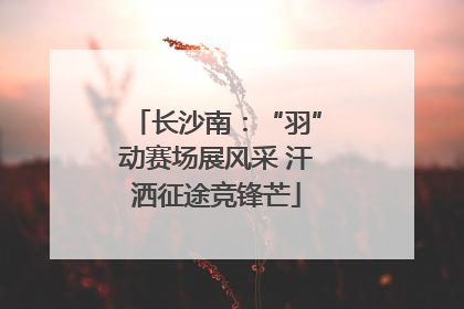 长沙南：“羽”动赛场展风采 汗洒征途竞锋芒