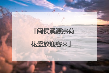 闽侯溪源寨荷花盛放迎客来