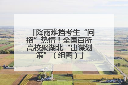 降雨难挡考生“问招”热情！全国百所高校聚湖北“出谋划策”（组图）