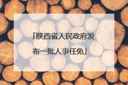 陕西省人民政府发布一批人事任免
