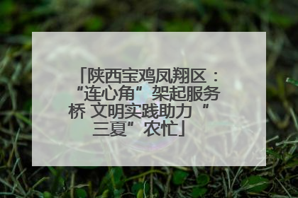 陕西宝鸡凤翔区：“连心角”架起服务桥 文明实践助力“三夏”农忙