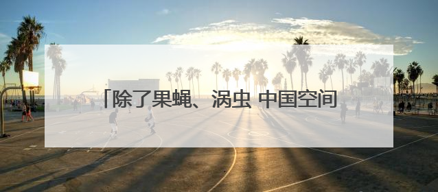 除了果蝇、涡虫 中国空间站还有哪些“动物航天员”