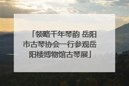 领略千年琴韵 岳阳市古琴协会一行参观岳阳楼博物馆古琴展