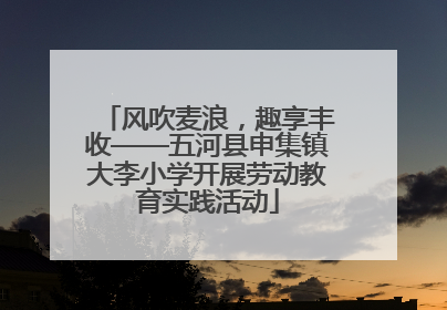 风吹麦浪，趣享丰收——五河县申集镇大李小学开展劳动教育实践活动