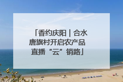 香约庆阳｜合水唐旗村开启农产品直播“云”销路
