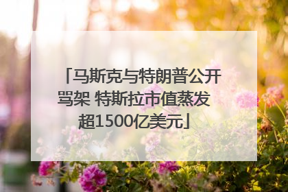 马斯克与特朗普公开骂架 特斯拉市值蒸发超1500亿美元