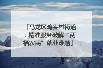 马龙区鸡头村街道：精准服务破解“两栖农民”就业难题
