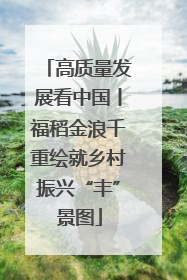 高质量发展看中国丨福稻金浪千重绘就乡村振兴“丰”景图