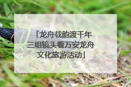 龙舟载韵渡千年 三组镜头看万安龙舟文化旅游活动