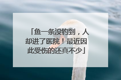 鱼一条没钓到，人却进了医院！最近因此受伤的还真不少