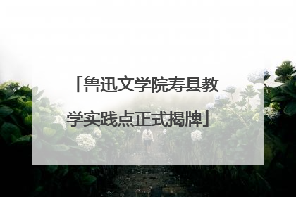鲁迅文学院寿县教学实践点正式揭牌