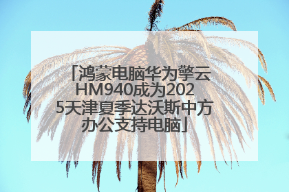 鸿蒙电脑华为擎云 HM940成为2025天津夏季达沃斯中方办公支持电脑