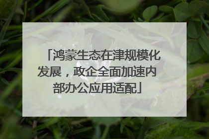 鸿蒙生态在津规模化发展，政企全面加速内部办公应用适配