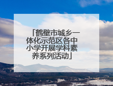鹤壁市城乡一体化示范区各中小学开展学科素养系列活动