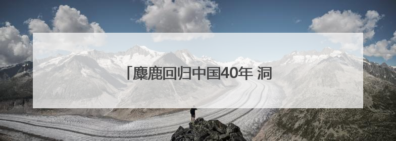 麋鹿回归中国40年 洞庭湖畔上演“鹿王争霸”