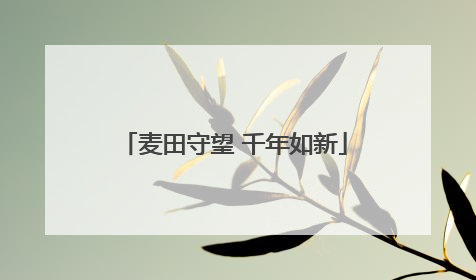 麦田守望 千年如新
